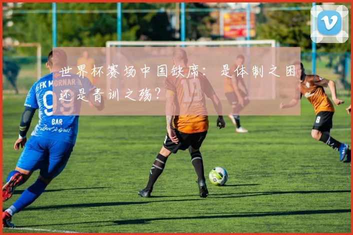 世界杯赛场中国缺席：是体制之困还是青训之殇？