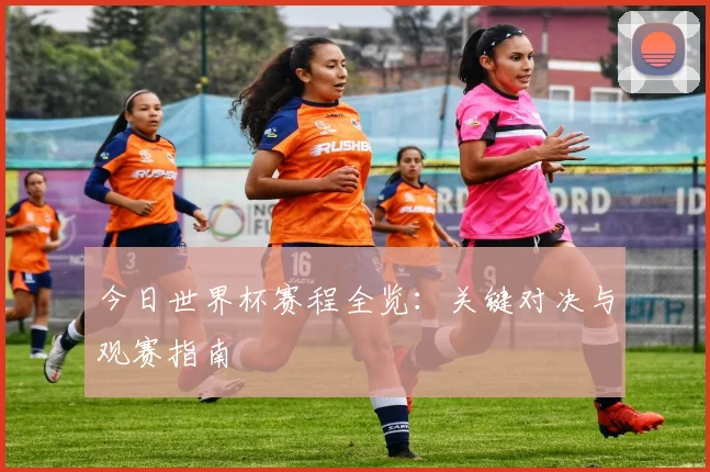 今日世界杯赛程全览：关键对决与观赛指南