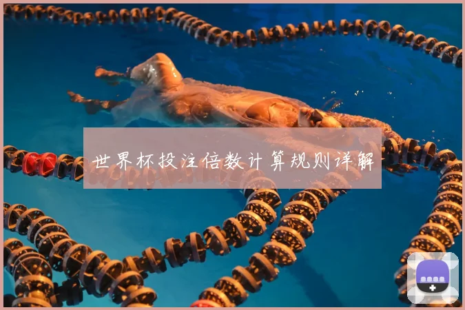 世界杯投注倍数计算规则详解