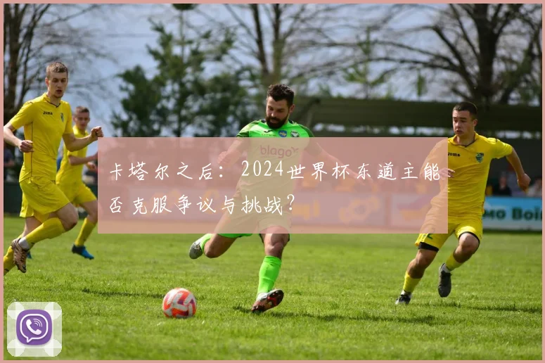 卡塔尔之后：2024世界杯东道主能否克服争议与挑战？