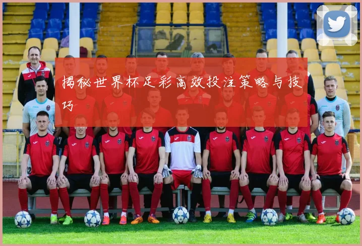 揭秘世界杯足彩高效投注策略与技巧