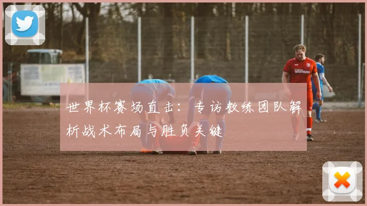 世界杯赛场直击:专访教练团队解析战术布局与胜负关键