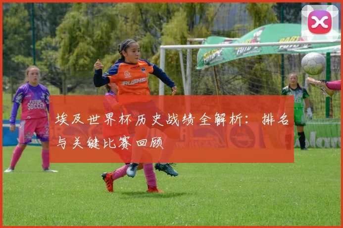 埃及世界杯历史战绩全解析：排名与关键比赛回顾