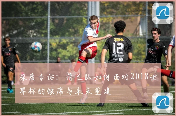 深度专访：荷兰队如何面对2018世界杯的缺席与未来重建