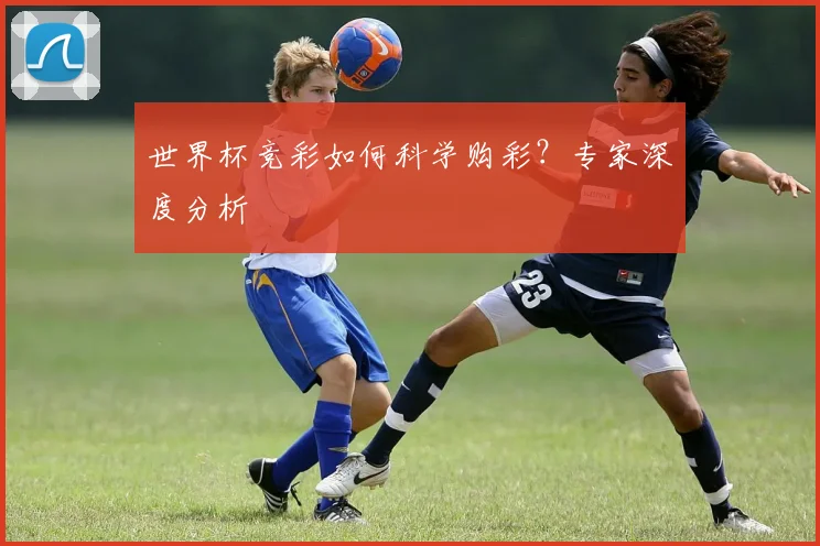 世界杯竞彩如何科学购彩？专家深度分析