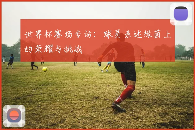 世界杯赛场专访：球员亲述绿茵上的荣耀与挑战